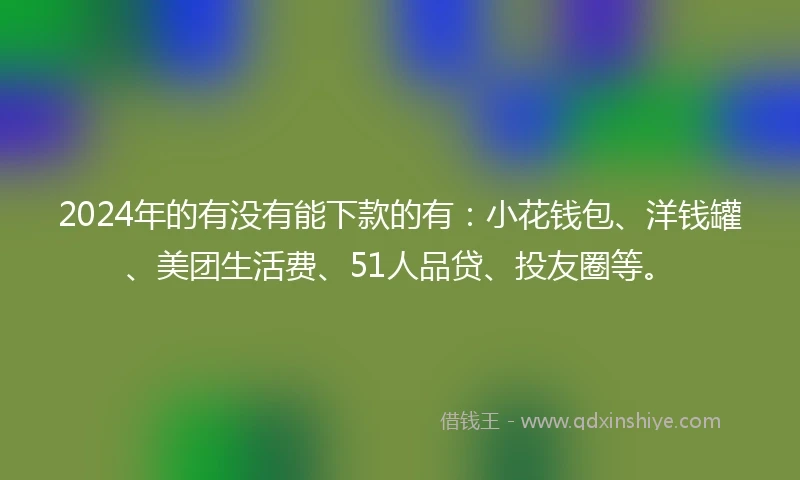 2024年的有没有能下款的有：小花钱包、洋钱罐、美团生活费、51人品贷、投友圈等。