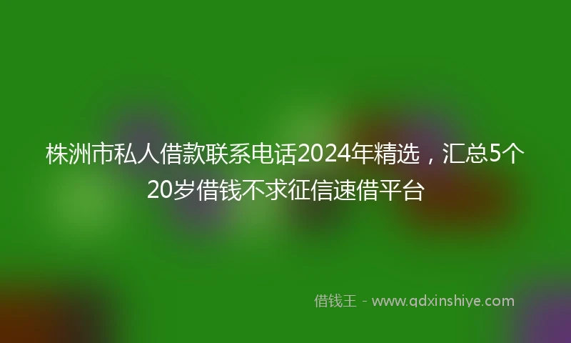 株洲市私人借款联系电话2024年精选，汇总5个20岁借钱不求征信速借平台