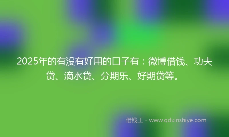 2025年的有没有好用的口子有：微博借钱、功夫贷、滴水贷、分期乐、好期贷等。
