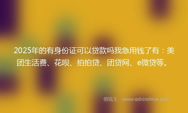 2025年的有身份证可以贷款吗我急用钱了有：美团生活费、花呗、拍拍贷、团贷网、e微贷等。