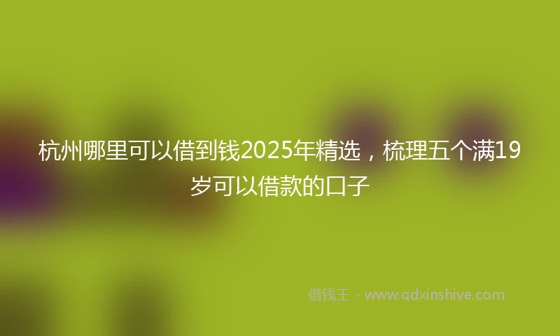 杭州哪里可以借到钱2025年精选，梳理五个满19岁可以借款的口子