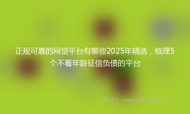 正规可靠的网贷平台有哪些2025年精选，梳理5个不看年龄征信负债的平台