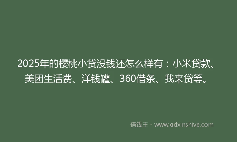 2025年的樱桃小贷没钱还怎么样有：小米贷款、美团生活费、洋钱罐、360借条、我来贷等。