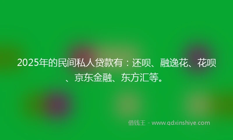 2025年的民间私人贷款有：还呗、融逸花、花呗、京东金融、东方汇等。