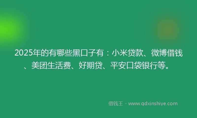 2025年的有哪些黑口子有：小米贷款、微博借钱、美团生活费、好期贷、平安口袋银行等。