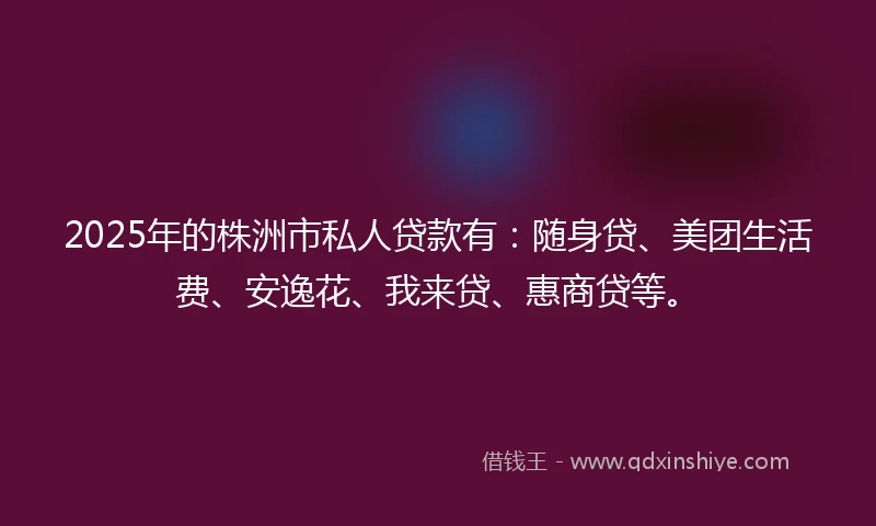 2025年的株洲市私人贷款有：随身贷、美团生活费、安逸花、我来贷、惠商贷等。