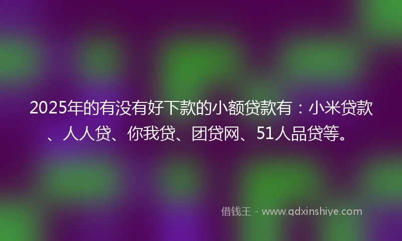 2025年的有没有好下款的小额贷款有：小米贷款、人人贷、你我贷、团贷网、51人品贷等。