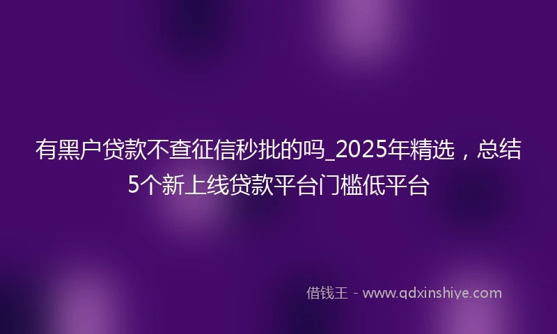 有黑户贷款不查征信秒批的吗_2025年精选，总结5个新上线贷款平台门槛低平台