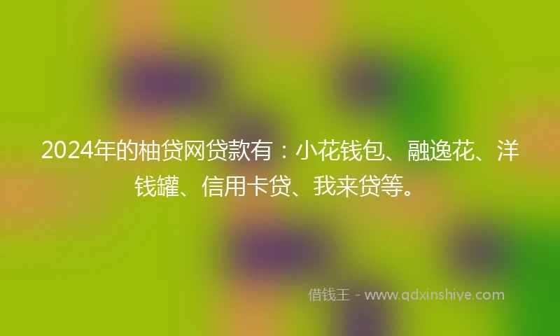 2024年的柚贷网贷款有：小花钱包、融逸花、洋钱罐、信用卡贷、我来贷等。