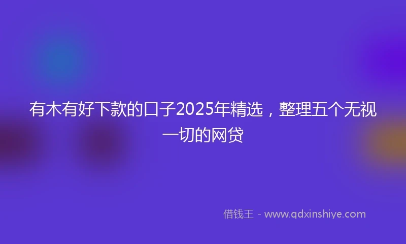 有木有好下款的口子2025年精选，整理五个无视一切的网贷