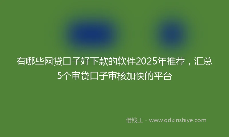 有哪些网贷口子好下款的软件2025年推荐，汇总5个审贷口子审核加快的平台