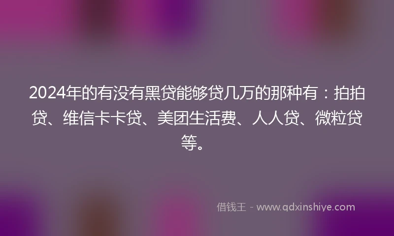 2024年的有没有黑贷能够贷几万的那种有：拍拍贷、维信卡卡贷、美团生活费、人人贷、微粒贷等。