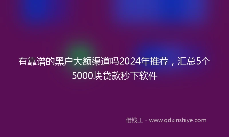 有靠谱的黑户大额渠道吗2024年推荐，汇总5个5000块贷款秒下软件