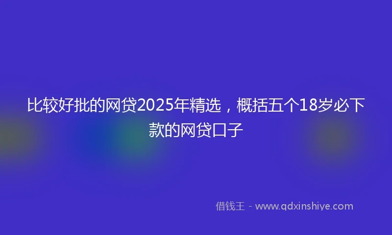 比较好批的网贷2025年精选，概括五个18岁必下款的网贷口子