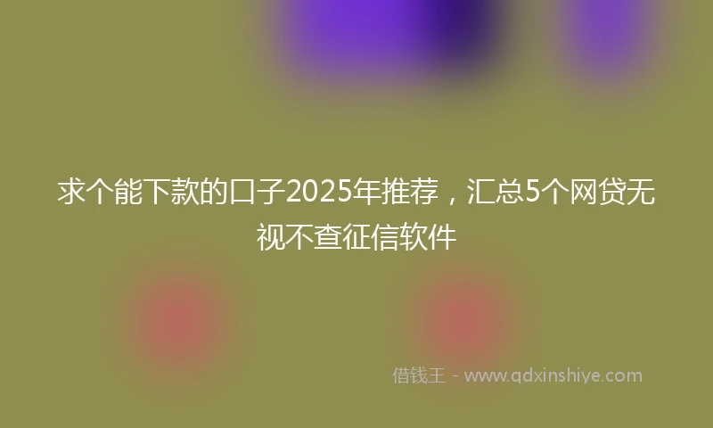 求个能下款的口子2025年推荐，汇总5个网贷无视不查征信软件