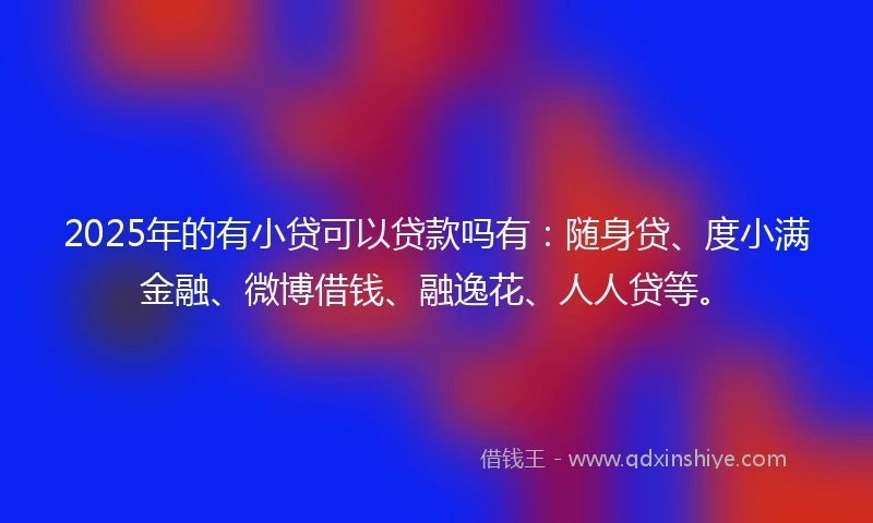 2025年的有小贷可以贷款吗有：随身贷、度小满金融、微博借钱、融逸花、人人贷等。