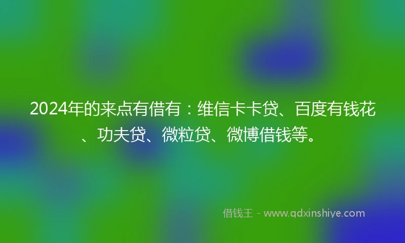 2024年的来点有借有：维信卡卡贷、百度有钱花、功夫贷、微粒贷、微博借钱等。