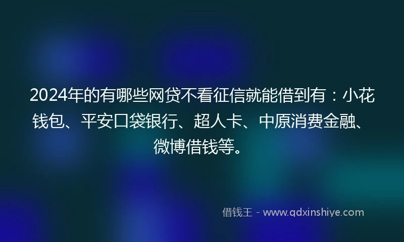 2024年的有哪些网贷不看征信就能借到有：小花钱包、平安口袋银行、超人卡、中原消费金融、微博借钱等。
