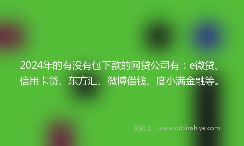 2024年的有没有包下款的网贷公司有：e微贷、信用卡贷、东方汇、微博借钱、度小满金融等。