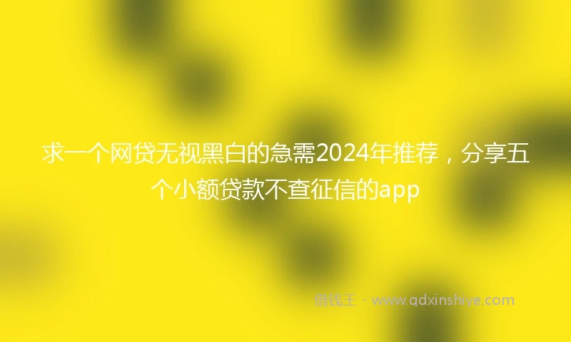求一个网贷无视黑白的急需2024年推荐，分享五个小额贷款不查征信的app