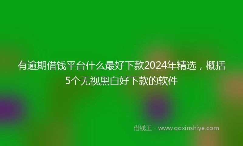 有逾期借钱平台什么最好下款2024年精选，概括5个无视黑白好下款的软件