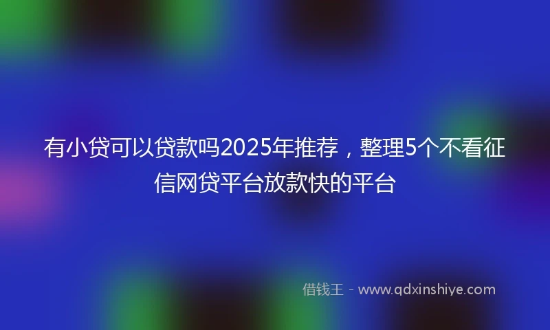 有小贷可以贷款吗2025年推荐，整理5个不看征信网贷平台放款快的平台