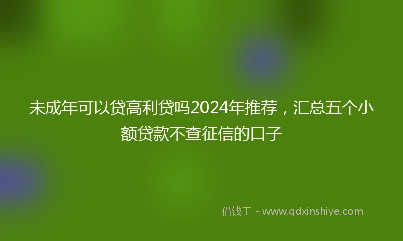 未成年可以贷高利贷吗2024年推荐，汇总五个小额贷款不查征信的口子