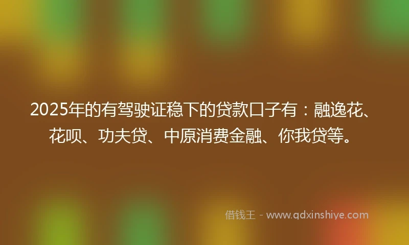 2025年的有驾驶证稳下的贷款口子有：融逸花、花呗、功夫贷、中原消费金融、你我贷等。