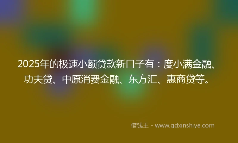 2025年的极速小额贷款新口子有：度小满金融、功夫贷、中原消费金融、东方汇、惠商贷等。