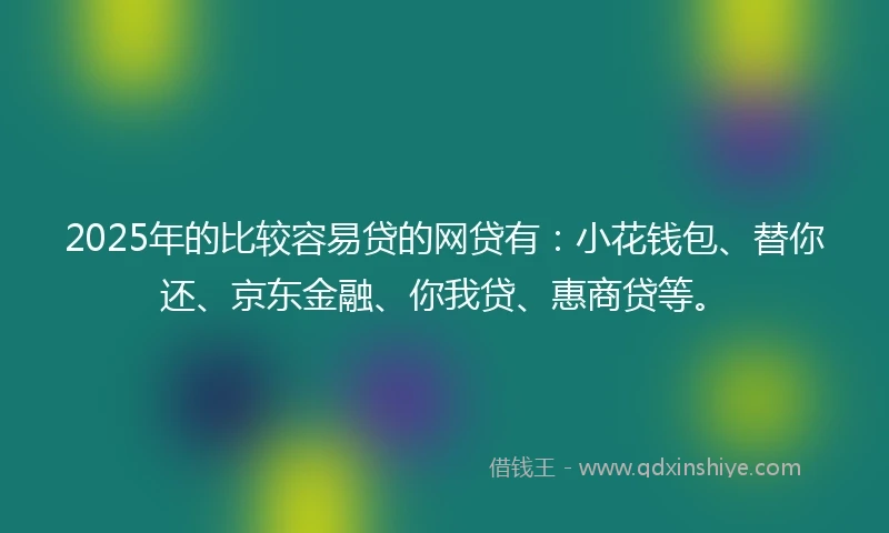 2025年的比较容易贷的网贷有：小花钱包、替你还、京东金融、你我贷、惠商贷等。