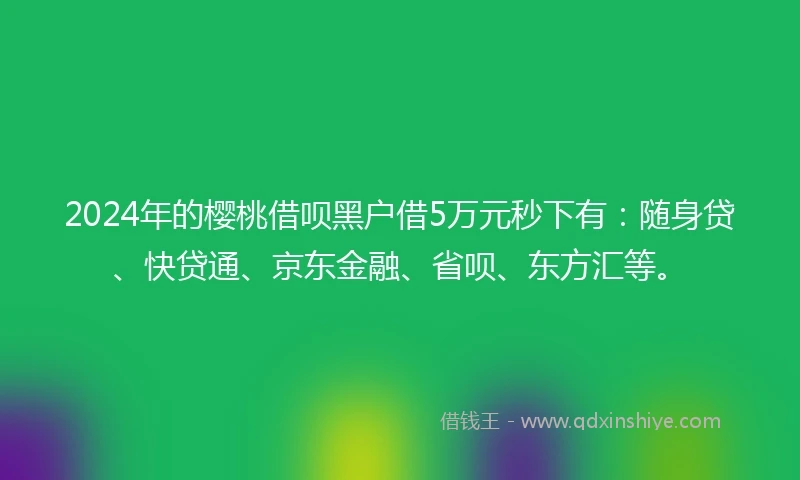 2024年的樱桃借呗黑户借5万元秒下有：随身贷、快贷通、京东金融、省呗、东方汇等。