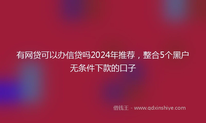 有网贷可以办信贷吗2024年推荐，整合5个黑户无条件下款的口子