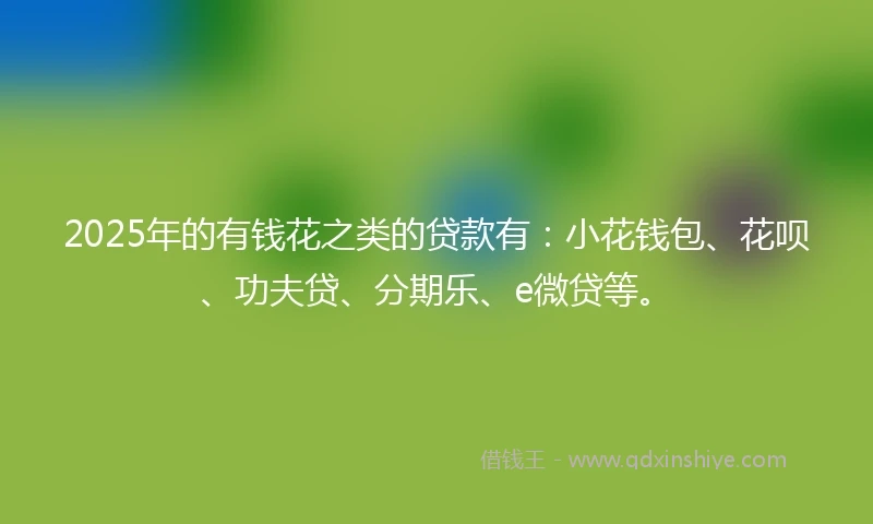 2025年的有钱花之类的贷款有：小花钱包、花呗、功夫贷、分期乐、e微贷等。