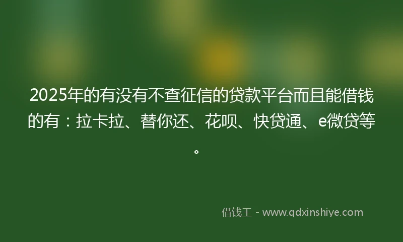 2025年的有没有不查征信的贷款平台而且能借钱的有：拉卡拉、替你还、花呗、快贷通、e微贷等。