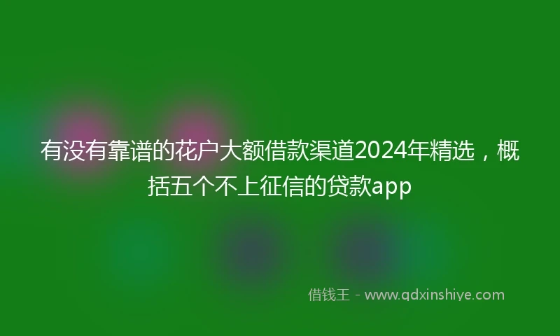 有没有靠谱的花户大额借款渠道2024年精选，概括五个不上征信的贷款app