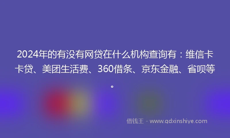 2024年的有没有网贷在什么机构查询有：维信卡卡贷、美团生活费、360借条、京东金融、省呗等。