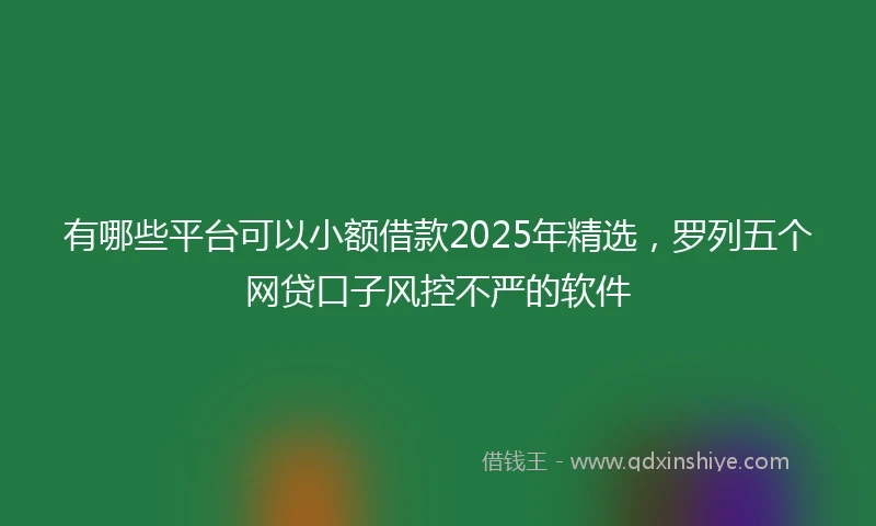 有哪些平台可以小额借款2025年精选，罗列五个网贷口子风控不严的软件