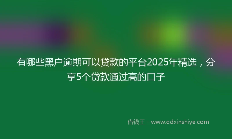 有哪些黑户逾期可以贷款的平台2025年精选，分享5个贷款通过高的口子