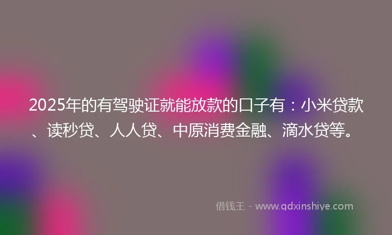 2025年的有驾驶证就能放款的口子有：小米贷款、读秒贷、人人贷、中原消费金融、滴水贷等。