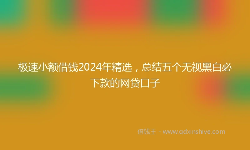 极速小额借钱2024年精选，总结五个无视黑白必下款的网贷口子