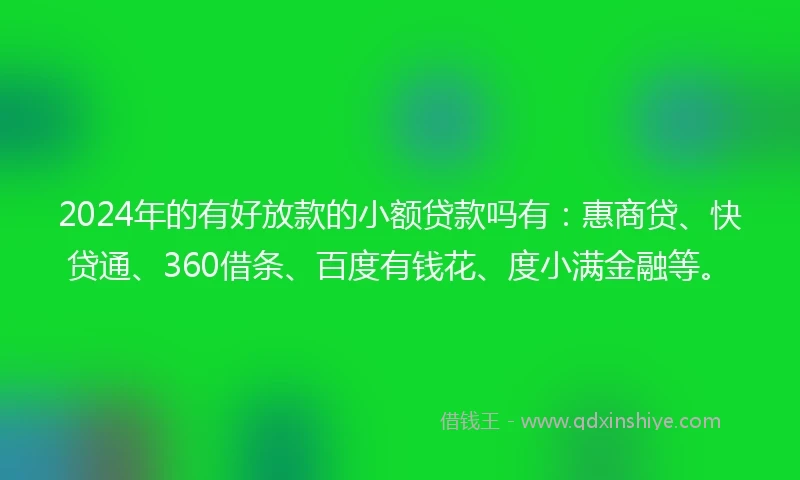 2024年的有好放款的小额贷款吗有：惠商贷、快贷通、360借条、百度有钱花、度小满金融等。