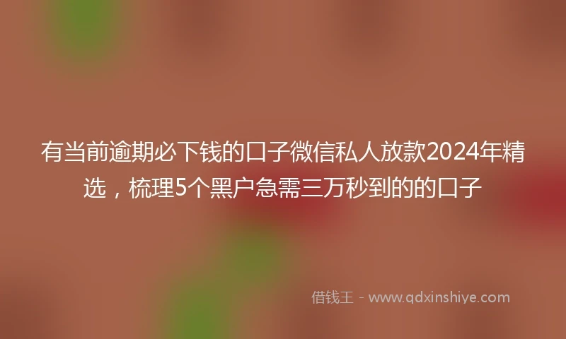 有当前逾期必下钱的口子微信私人放款2024年精选，梳理5个黑户急需三万秒到的的口子