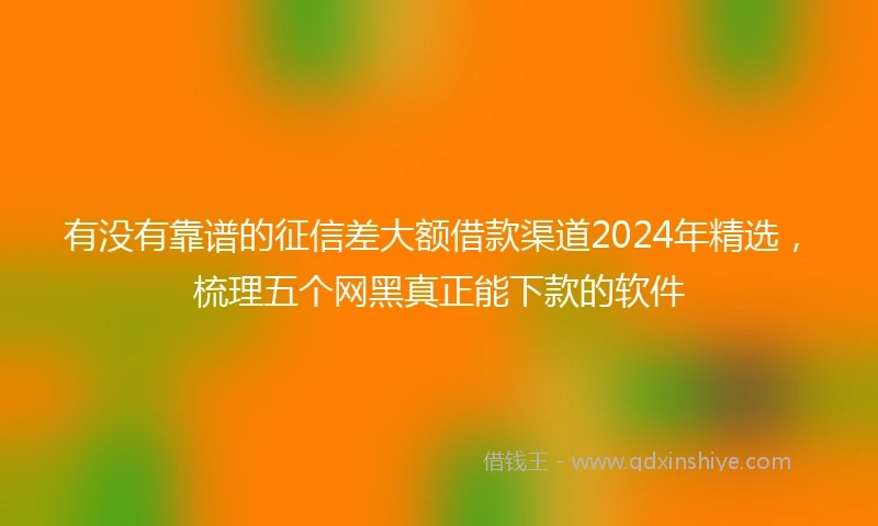 有没有靠谱的征信差大额借款渠道2024年精选，梳理五个网黑真正能下款的软件