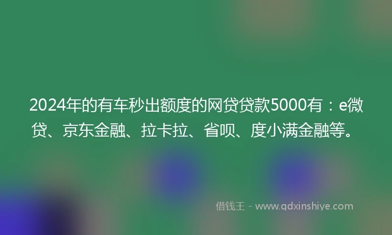 2024年的有车秒出额度的网贷贷款5000有：e微贷、京东金融、拉卡拉、省呗、度小满金融等。