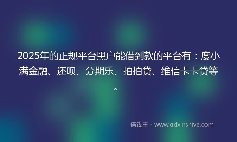 2025年的正规平台黑户能借到款的平台有：度小满金融、还呗、分期乐、拍拍贷、维信卡卡贷等。
