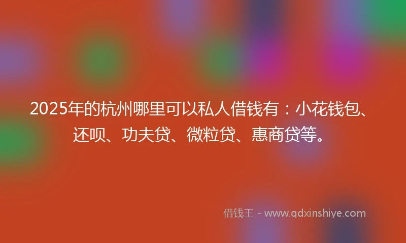 2025年的杭州哪里可以私人借钱有：小花钱包、还呗、功夫贷、微粒贷、惠商贷等。