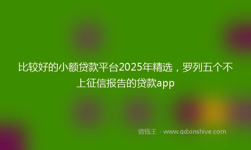比较好的小额贷款平台2025年精选，罗列五个不上征信报告的贷款app