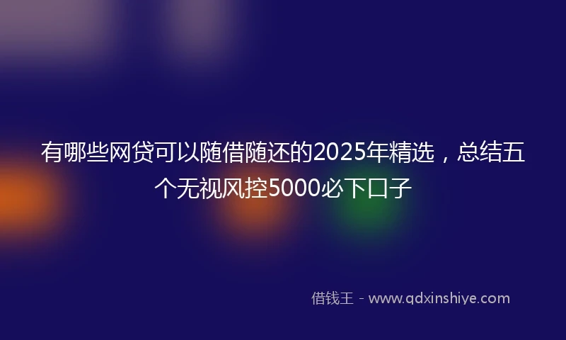有哪些网贷可以随借随还的2025年精选，总结五个无视风控5000必下口子