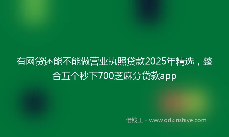 有网贷还能不能做营业执照贷款2025年精选，整合五个秒下700芝麻分贷款app