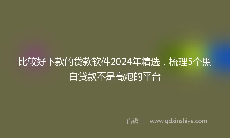 比较好下款的贷款软件2024年精选，梳理5个黑白贷款不是高炮的平台